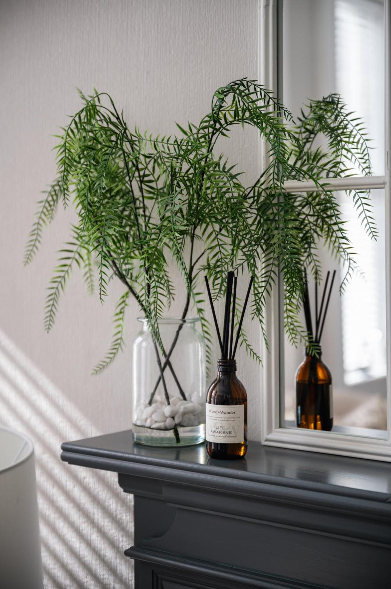 Lovely Entire Flat In Birnam, Neighbouring Dunkeld Εξωτερικό φωτογραφία